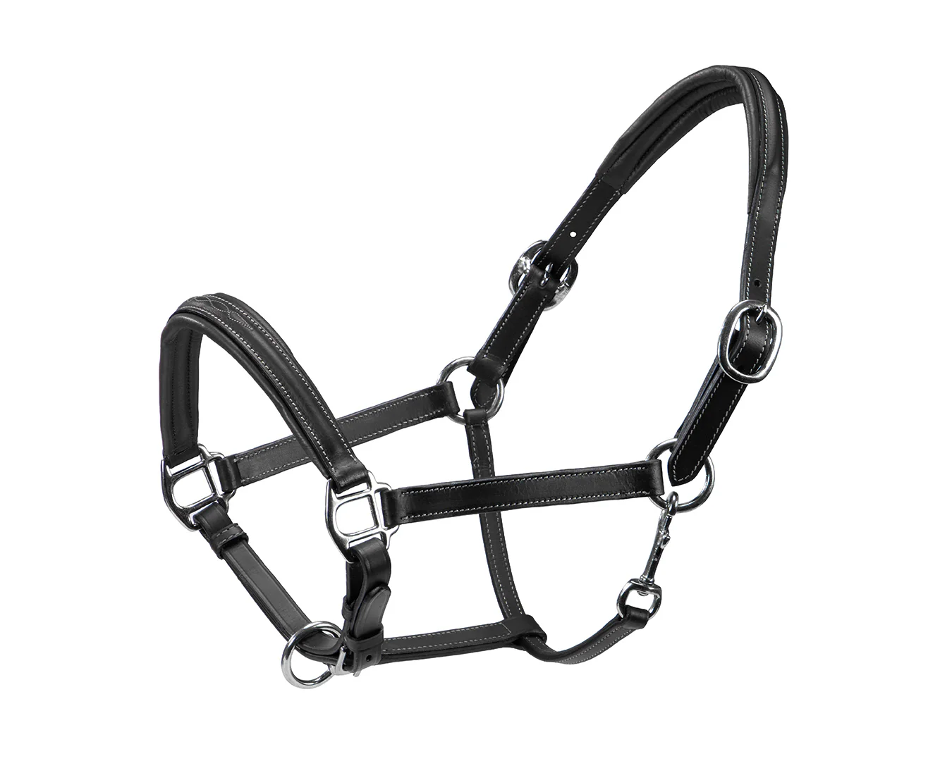Sterling Leather Halter with Fancy Stitching