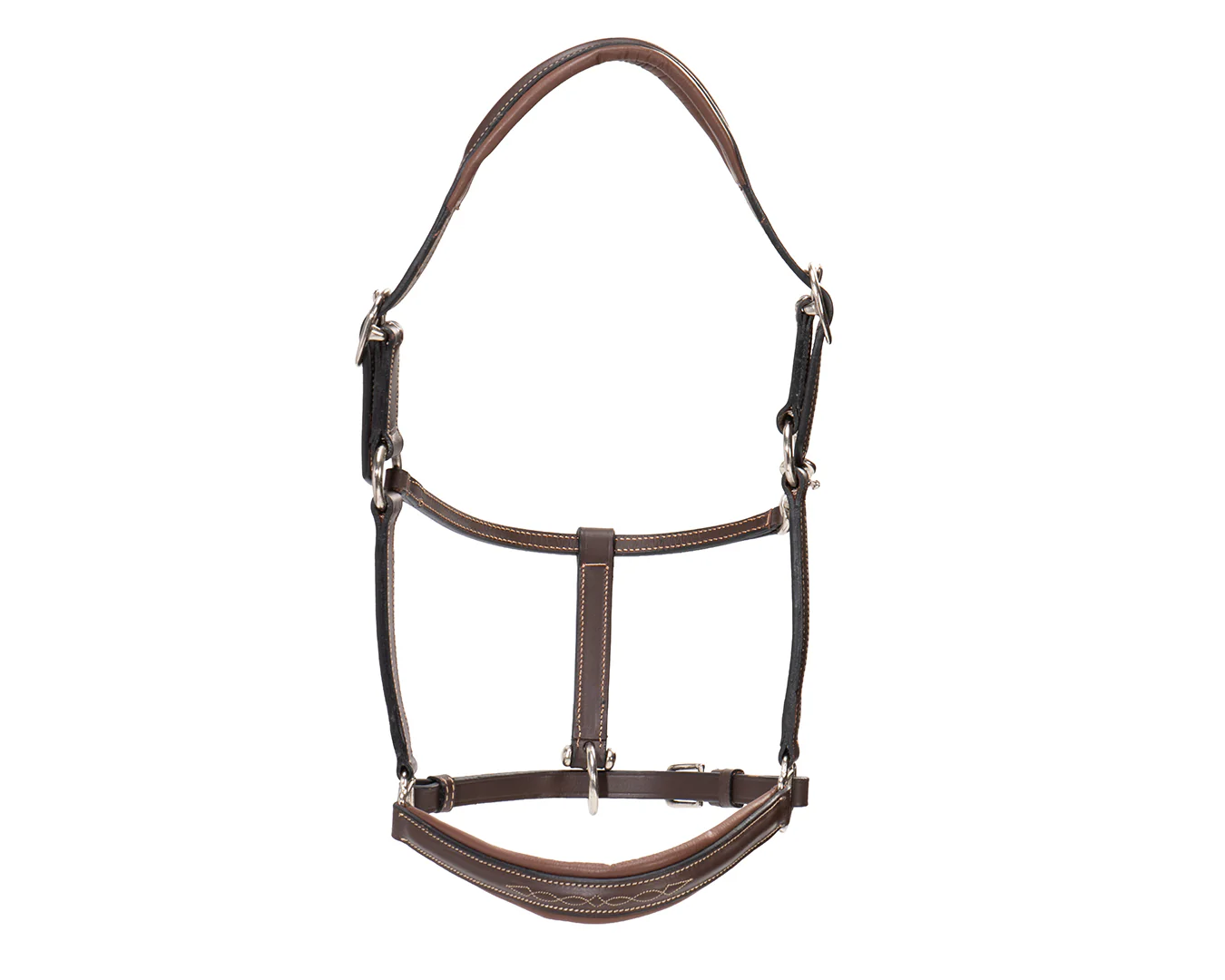 Sterling Leather Halter with Fancy Stitching - Image 10