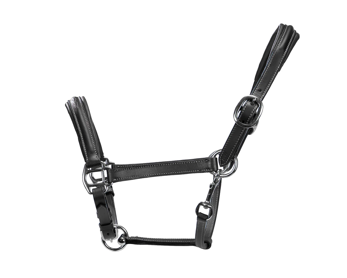 Sterling Leather Halter with Fancy Stitching - Image 2