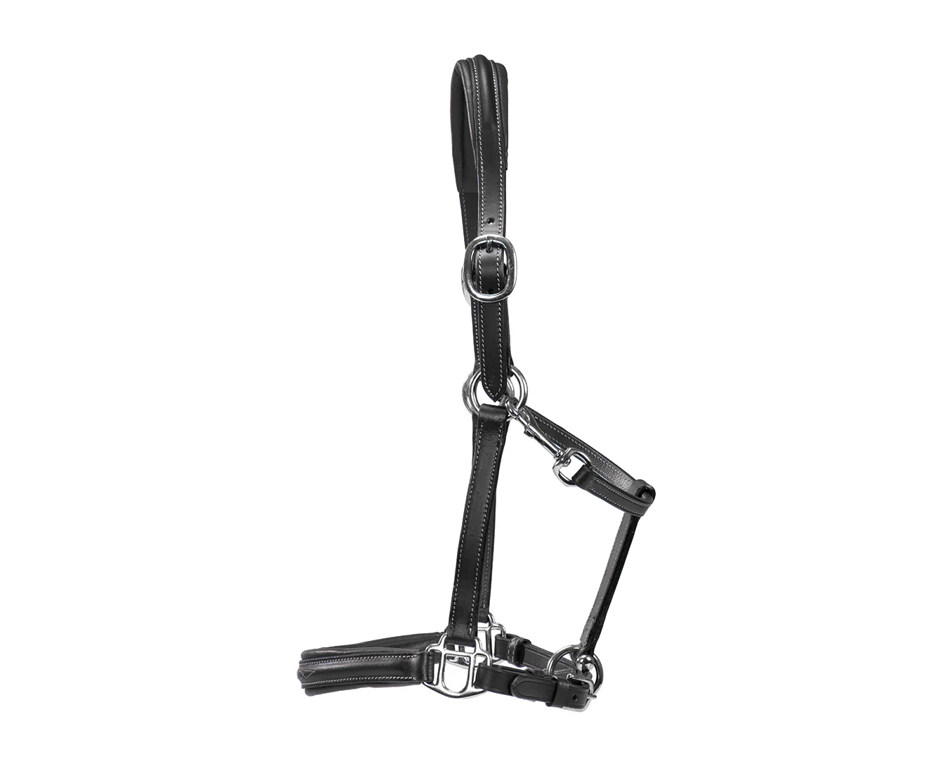 Sterling Leather Halter with Fancy Stitching - Image 4