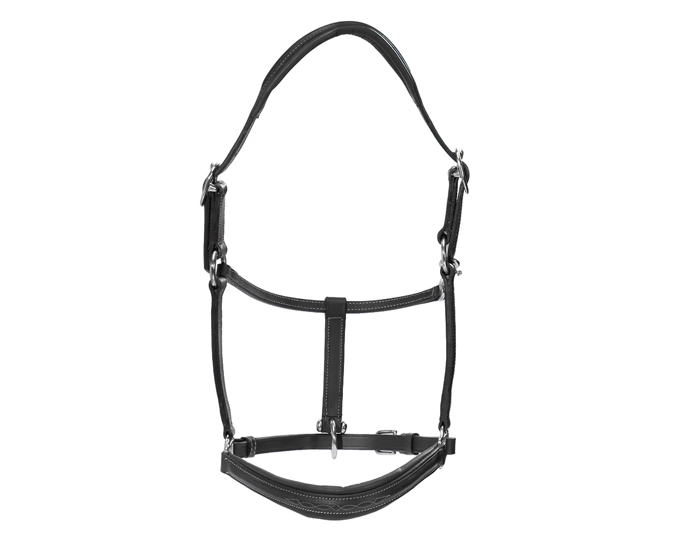 Sterling Leather Halter with Fancy Stitching - Image 5