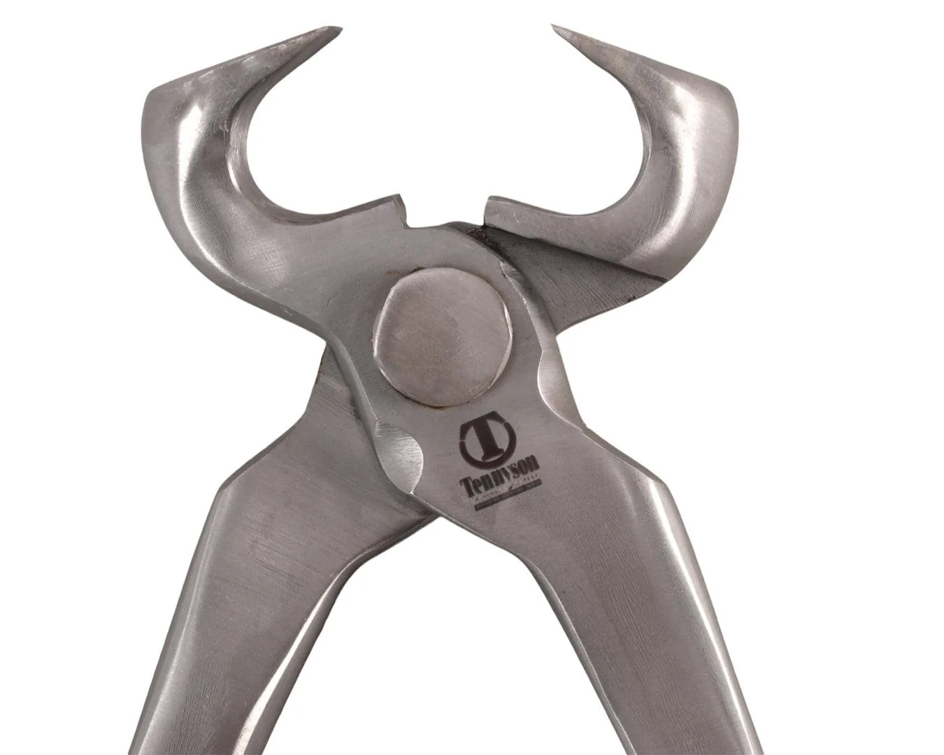 Tennyson Stainless Steel Hoof Nipper - Image 2
