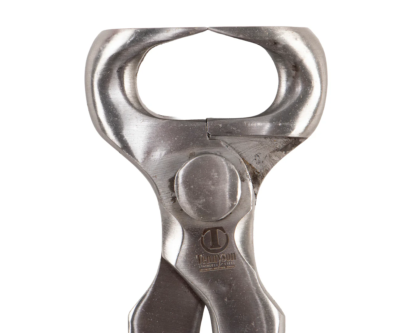 Tennyson Stainless Steel Hoof Nipper - Image 5