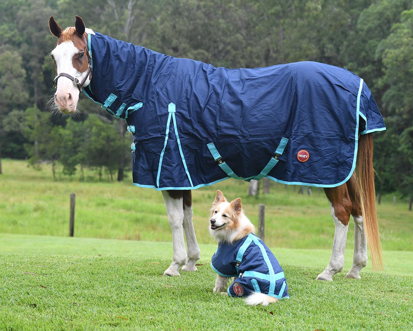 Thermo Master Supreme Dog Coat - Navy/Baby Blue - Image 6