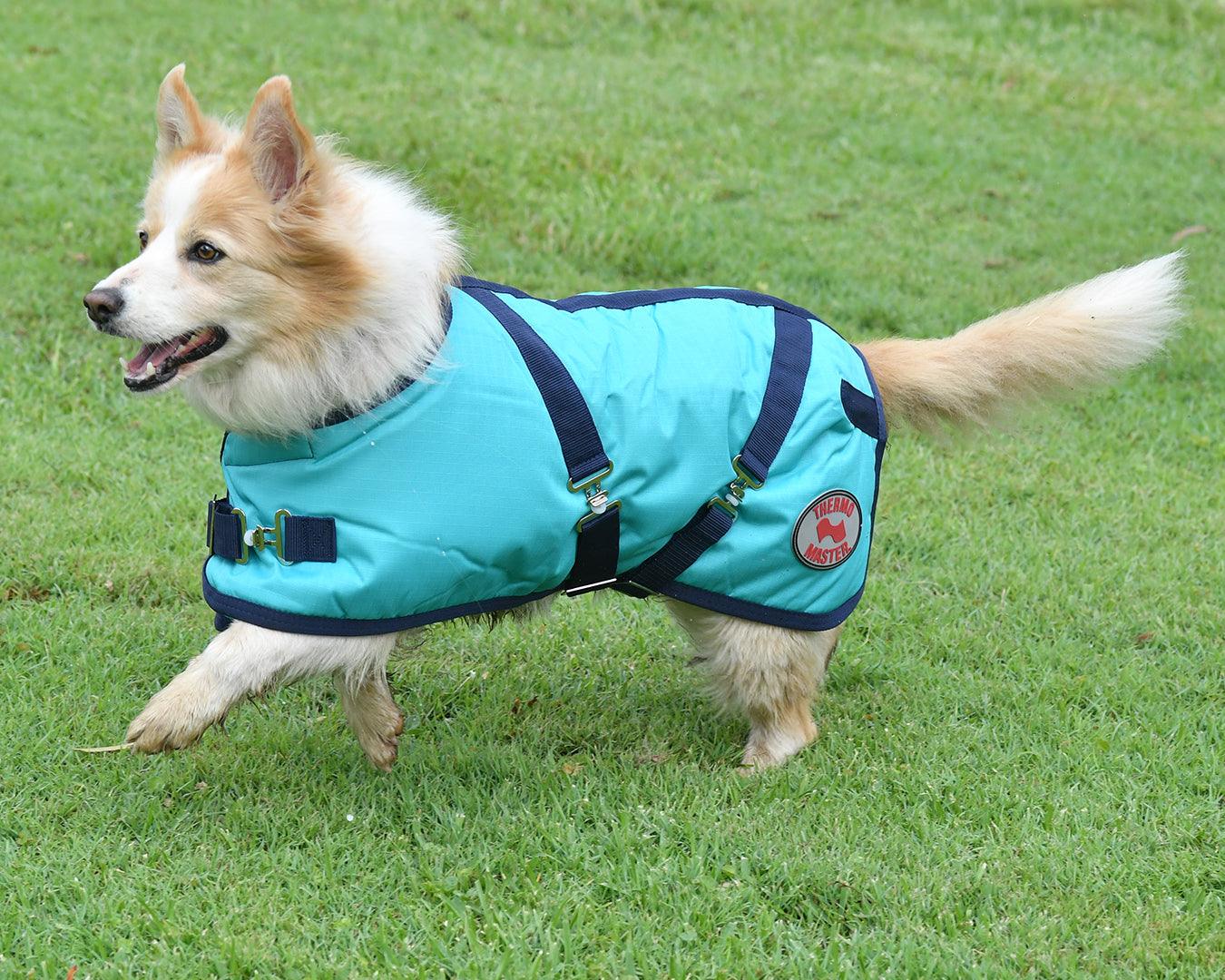 Thermo Master Supreme Dog Coat - Teal/Navy - Image 3