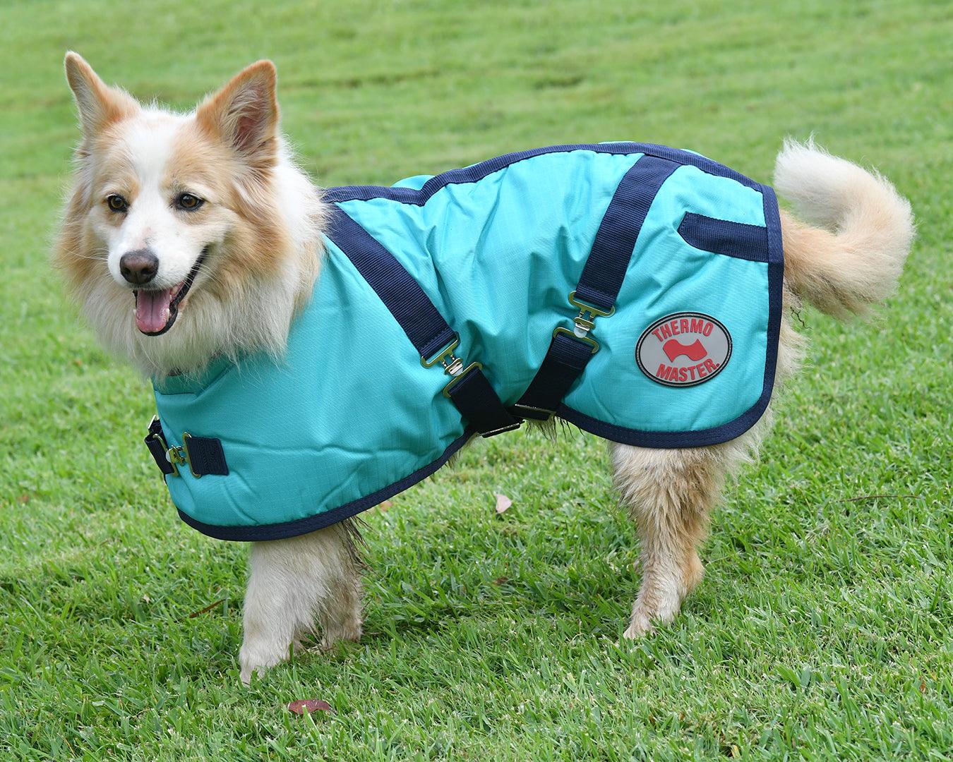 Thermo Master Supreme Dog Coat - Teal/Navy - Image 5