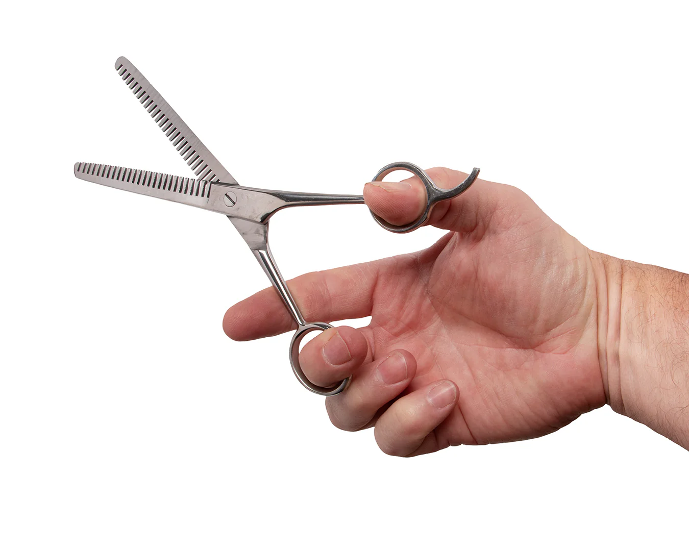 Show Master Thinning Scissors - Image 2