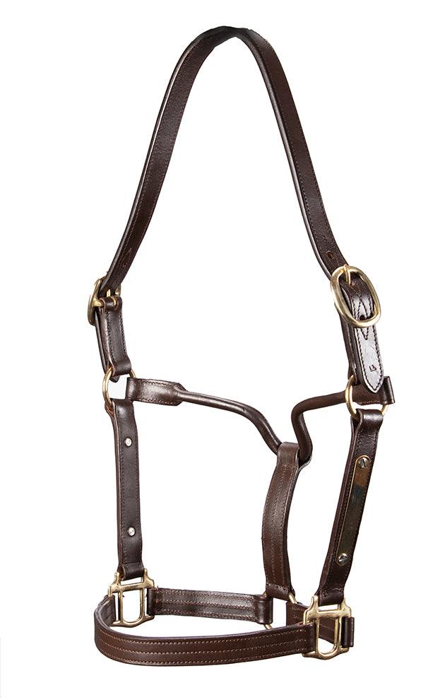 Thoroughbred Nameplate Halter - Image 2