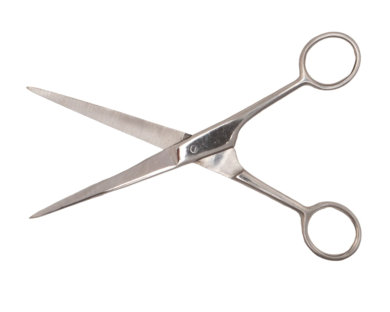 Show Master Trimming Scissors
