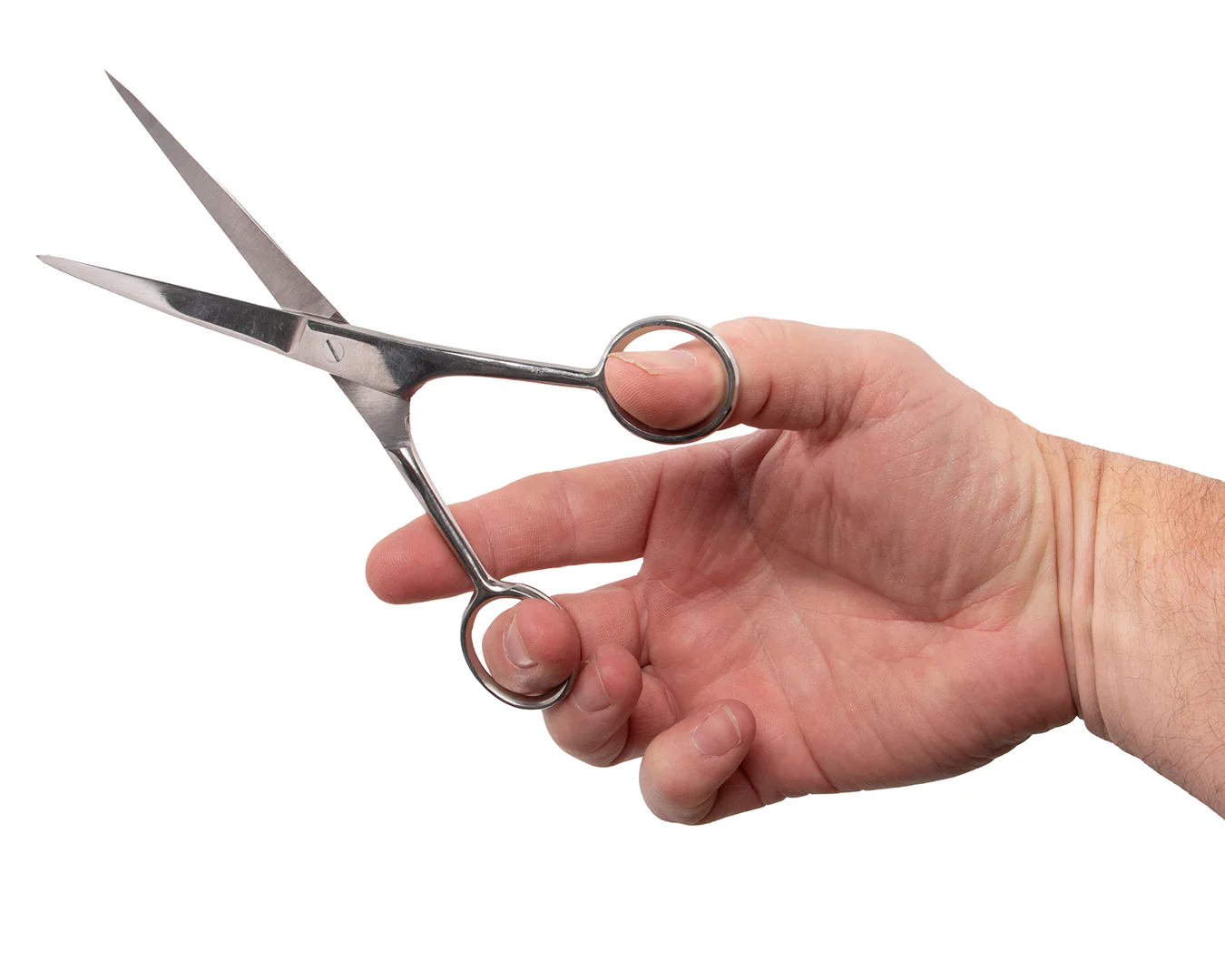 Show Master Trimming Scissors - Image 2