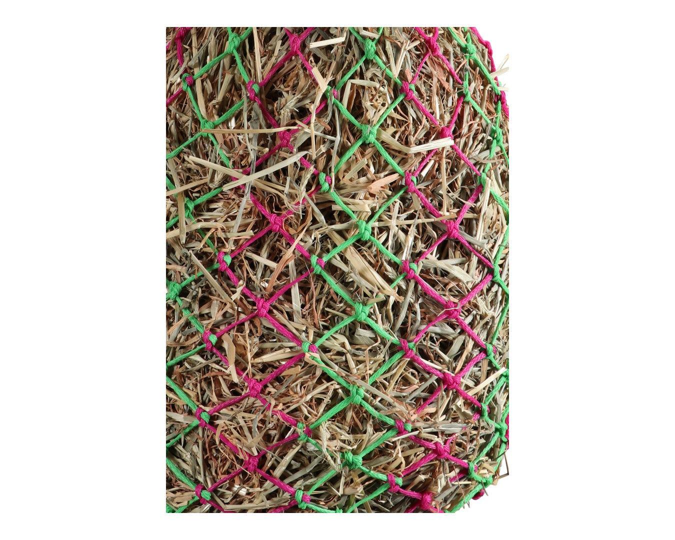 Vivid Slow Feed Poly Haynet - Image 8