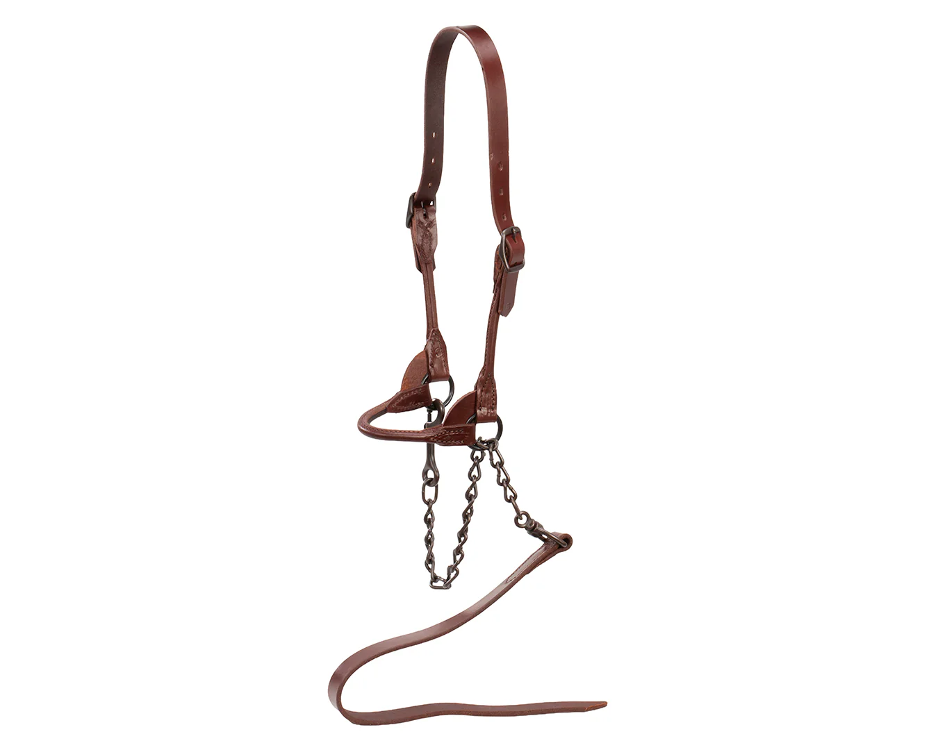 Weaver Brown Bombshell Cattle Show Halter - Image 6