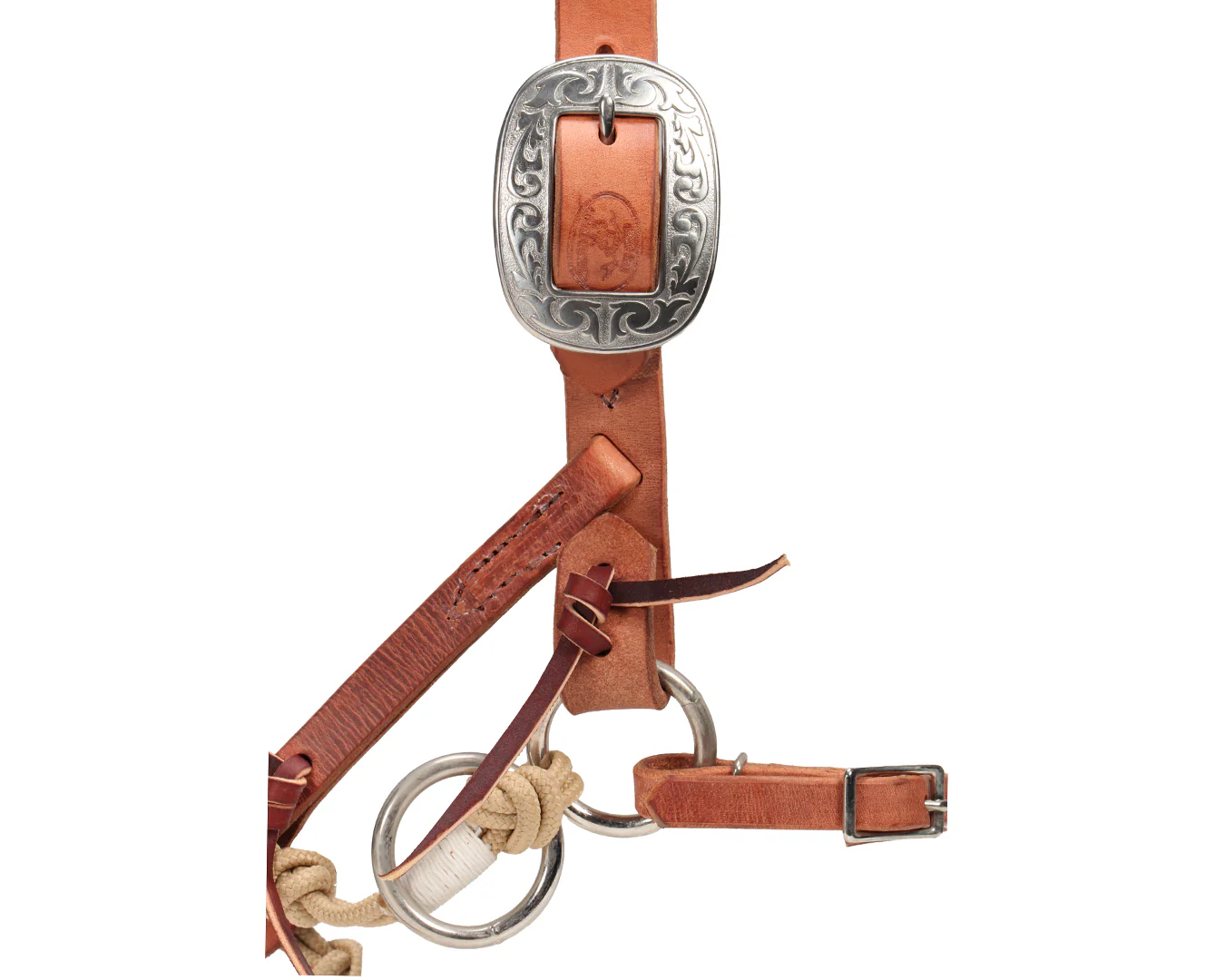 Weaver Justin Bitless Bridle - Image 4
