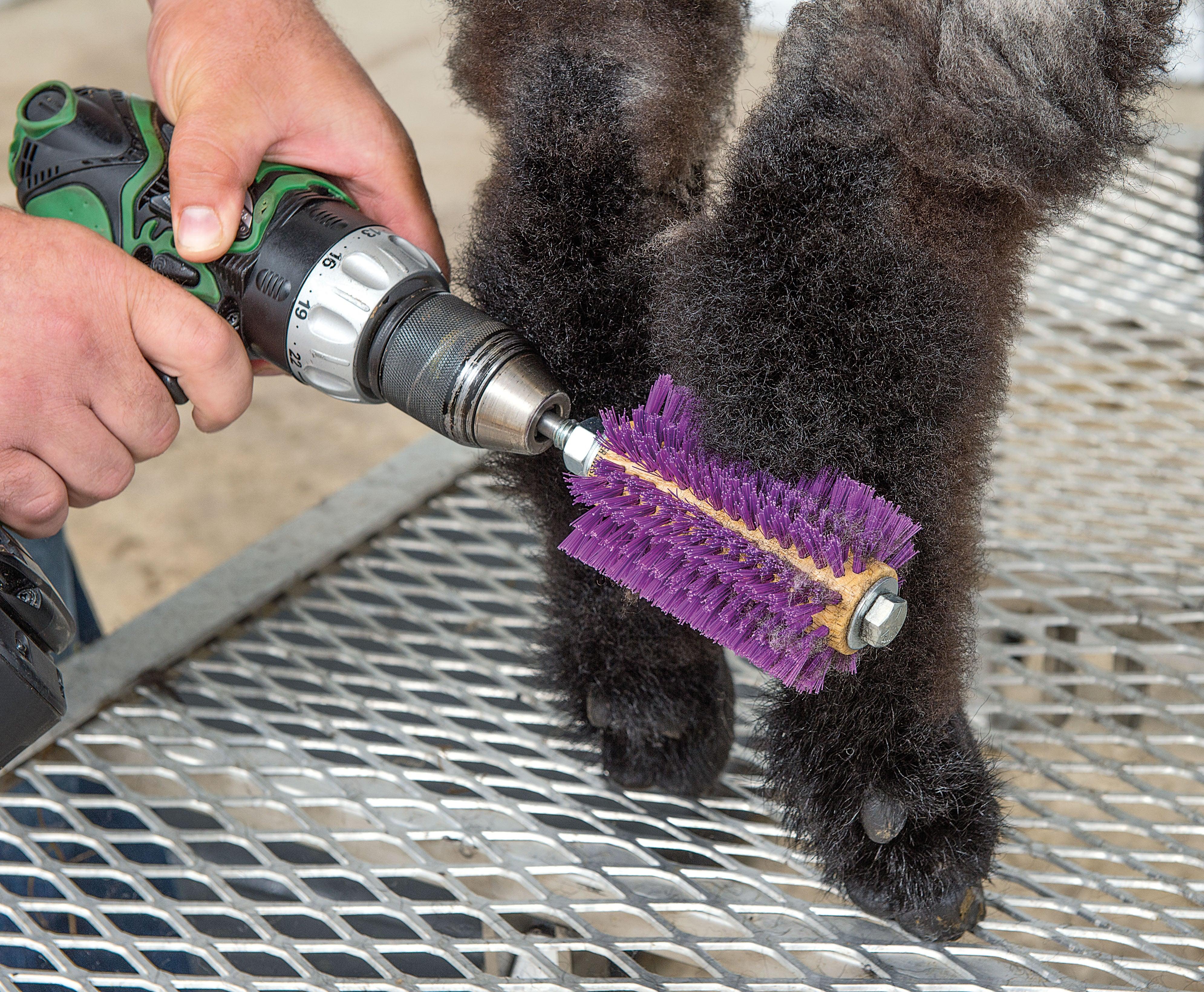 Weaver Mini Roto Brush - Image 5